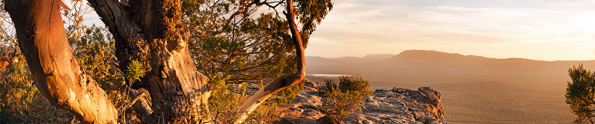 Australian bush and mountains